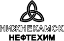 Nignekamsk